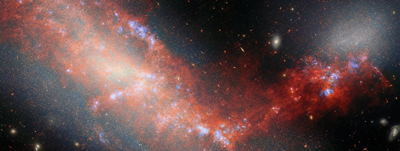 FEAST: JWST/NIRCam View of the Resolved Stellar Populations of the Interacting Dwarf Galaxies NGC 4485 and NGC 4490